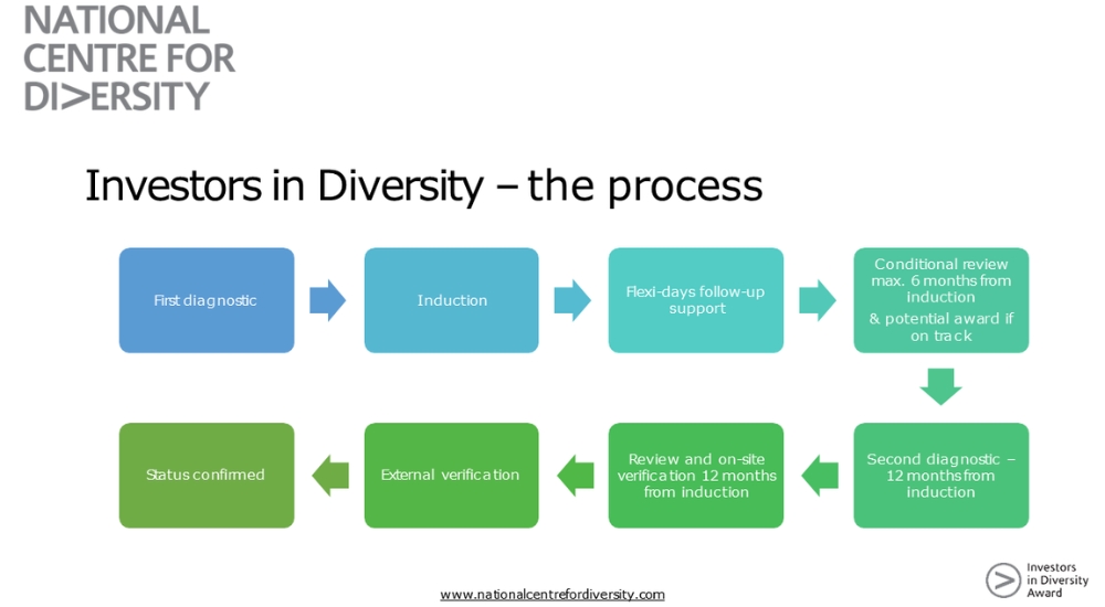 FE HR Case Study - Implementing the Investor's Diversity Framework