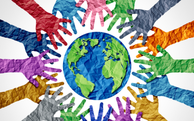 Case Study: Implementing the Investor’s Diversity Framework